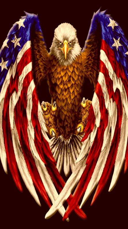 TL Drywall & Painting LLC: Service Image-0 TL Drywall & Painting LLC: Service Image-0